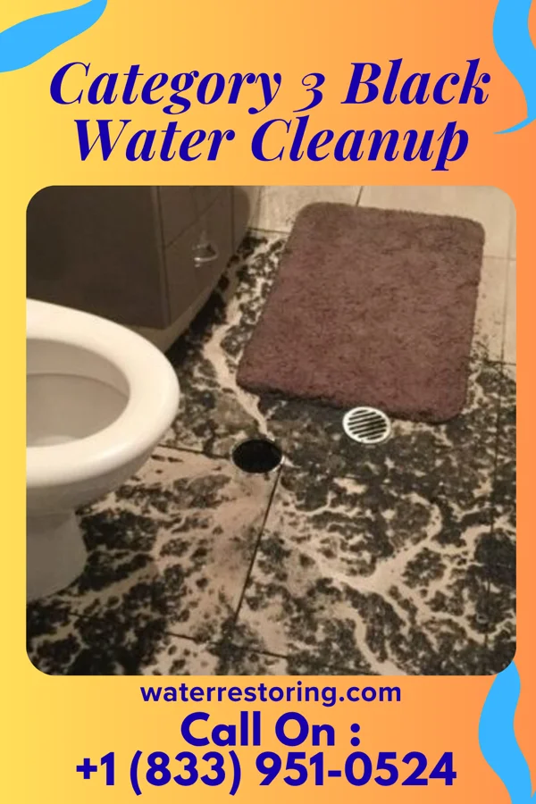 Category 3 Black Water Cleanup in Billings, MO