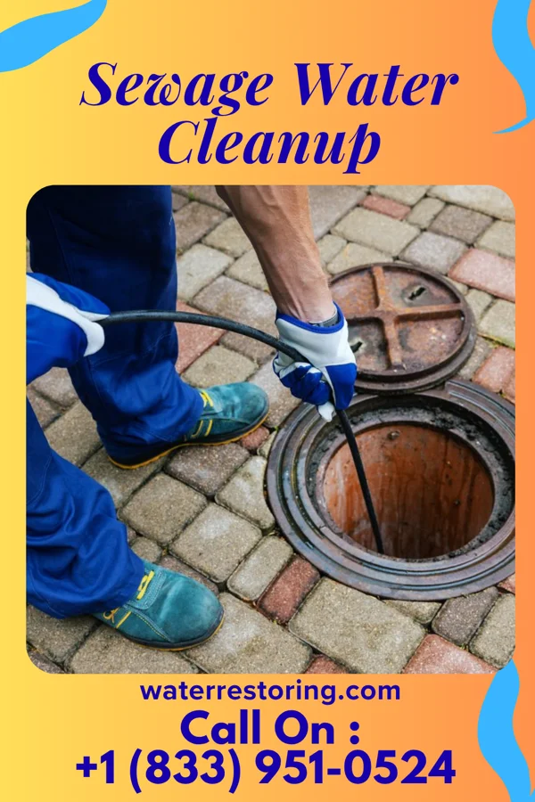 Sewage Water Cleanup in Billings, MO
